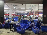 一路狂奔的“中国淘宝第一村”