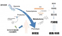 36氪首发 | 提供临床质谱和代谢组学全解决方案，「诺米代谢」获亿元A轮融资