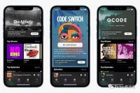 新媒体平台仍在等待突围