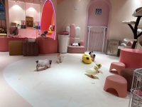 为满足Z世代而生的异宠馆，是门好生意吗？