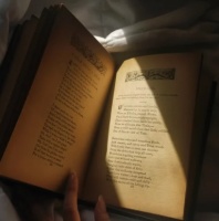 内容行业百年涌现简史