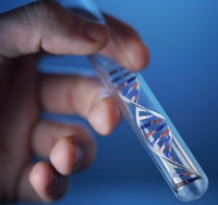 成长减速、亏损扩大，泛生子该棋落何处