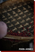 云南咖啡翻盘记