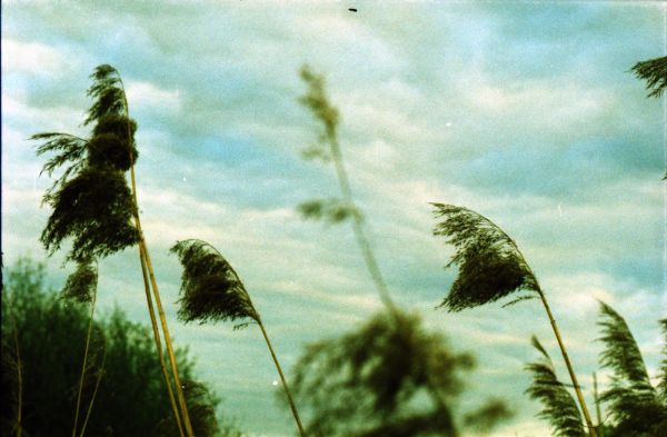 图片来源@视觉中国