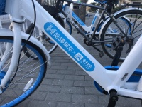 又一家中国企业境外IPO折戟：继喜马拉雅、Keep之后，哈啰出行取消赴美上市