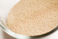 半年报与20亿定增齐至，10年后再出大招，安琪酵母怎么了？