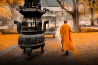 别爱太满，别睡太晚：寺庙的流量密码与新媒体生意经