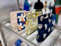 36氪独家丨「珍妮花」完成数千万人民币A轮融资，打造适合年轻一代的轻便出行品牌