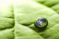 保利资本、碧桂园创投，联手投了一个碳中和