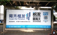 雍禾的植发焦虑卖不下去了