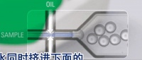 「思纳福」数字PCR一体机获FDA、CE、NMPA认证，国内装机量已超百台