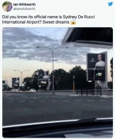 用「洋猴子」收智商税，他们可真行