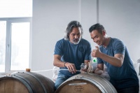 下一个微醺千亿级市场，「京A精酿」在啤酒这门生意做起了风味“实验”丨早期项目