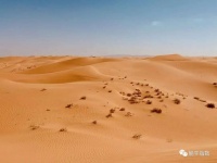 石油去哪了？——油价上涨的另类视角