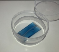 36氪首发｜用废弃酒槽制作可降解生物基包装材料，「MI TERRO」获数百万美元天使轮融资，Astanor Venture领投