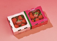 国外创投新闻 | 纽约曼哈顿农业科技初创「Bowery Farming」开始限量销售第一批室内垂直农场种植的草莓