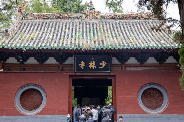 图片来源@视觉中国