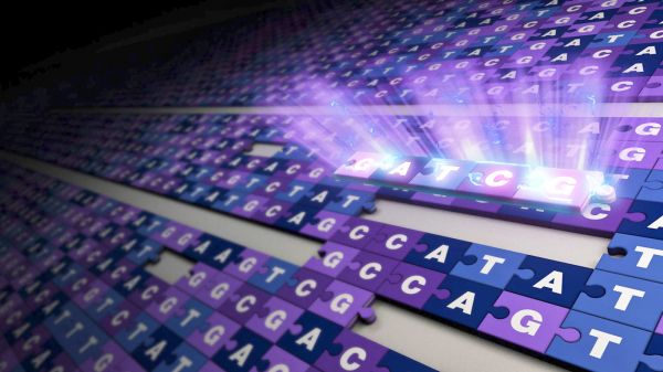 图片来源@视觉中国