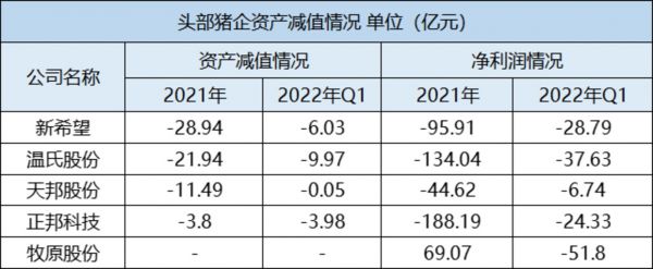 头部猪企资产减值情况,钛媒体制表
