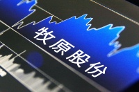 猪价大跌不提减值准备，另类的“猪茅”牧原股份被问询