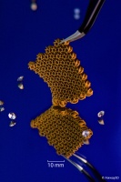 36氪首发 | 突破性超高精度金属打印，金属增材研发商「云耀深维」获红杉数千万天使轮融资