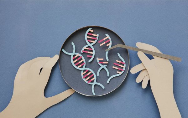 图源于视觉中国