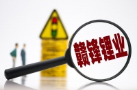 为什么内幕交易，也吓不退赣锋锂业22万股民？