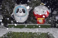 靠冰墩墩半年营收增超10亿，元隆雅图的元宇宙业务很难撑起股价|看财报