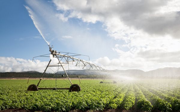 图片来源:视觉中国