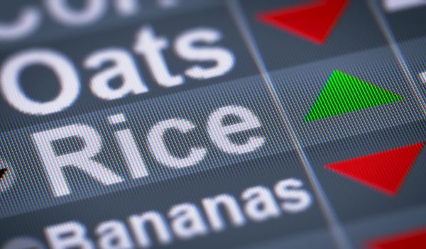 图片来源：视觉中国