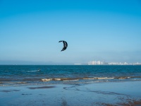 全球第二大成人网站上市，要感谢“创作者”们？