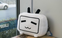 讨好投资人？先放放吧，B站想先获得它的4亿忠诚用户