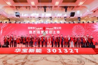 华宝新能“贵”得有理：靠品牌、渠道优势抢占便携储能第一股