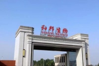 和邦生物：1-9月盈利再增七成，光伏新版图助力穿越周期 | 看财报