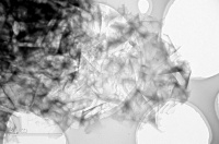 一吨100万元的进口电容炭，这家深圳公司或将打破日本90%垄断丨早期项目