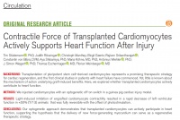 基于hiPSCs的再生细胞治疗再添实证，为受损心脏补充新的心肌细胞 | 研究解读