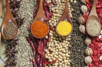 四川60后夫妻闯关IPO：路边摊起家，年入4亿