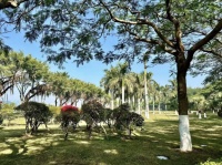 近期招聘的一点小心得